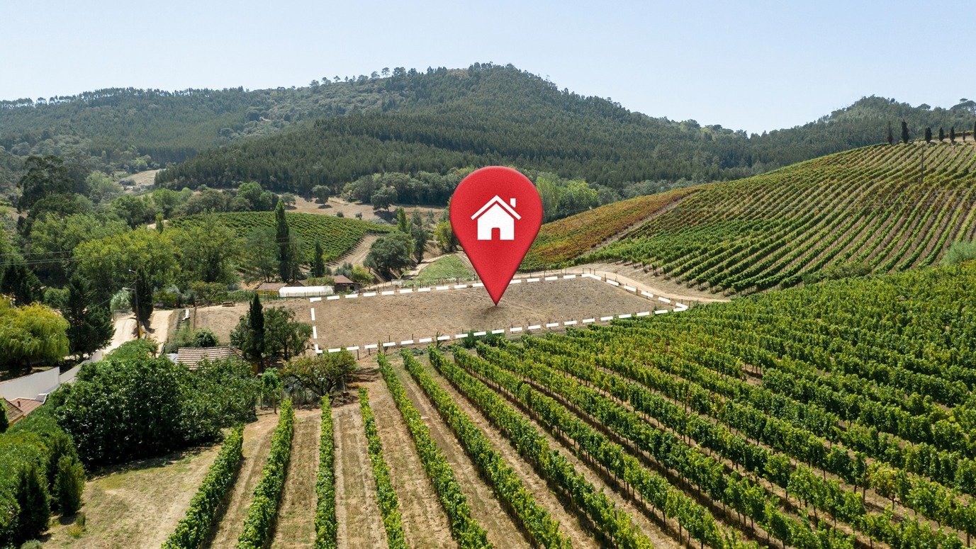 alvaro-leite-direito agrário